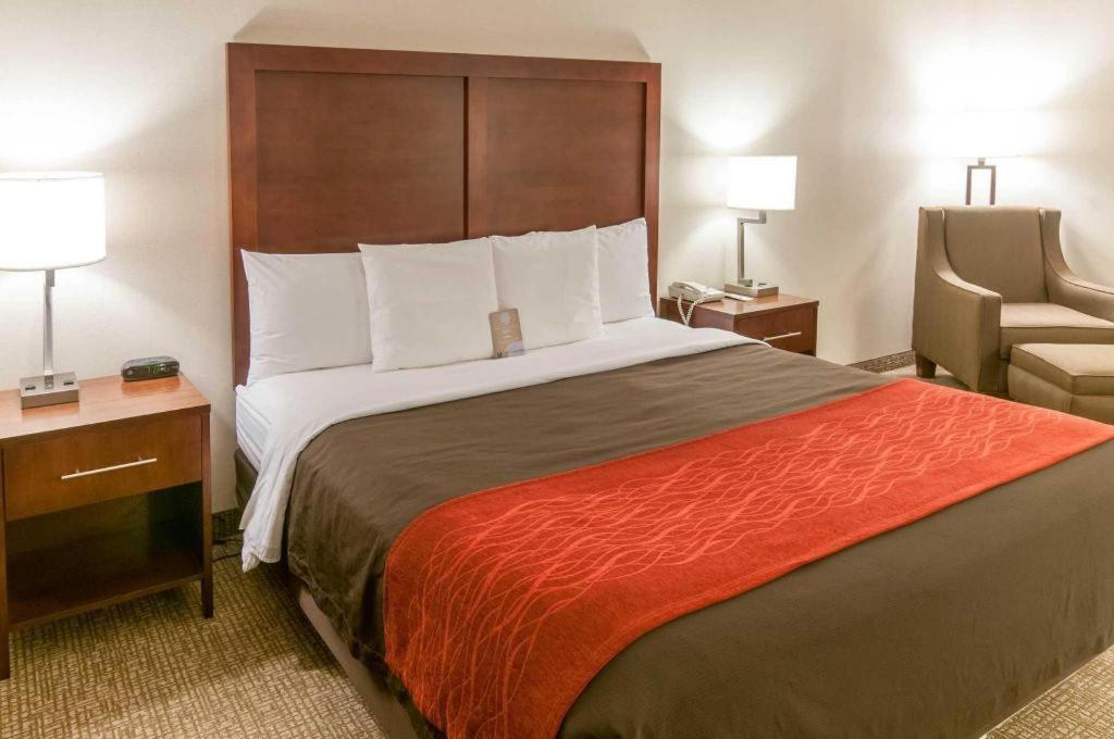 Comfort Inn Quantico Stafford Ngoại thất bức ảnh