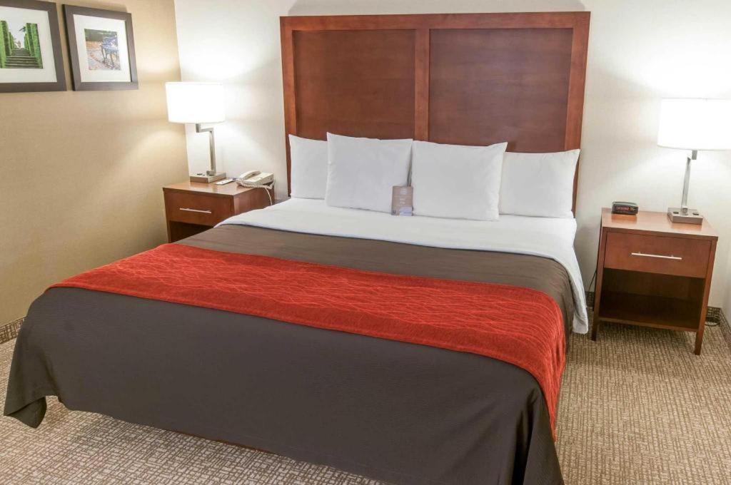 Comfort Inn Quantico Stafford Ngoại thất bức ảnh