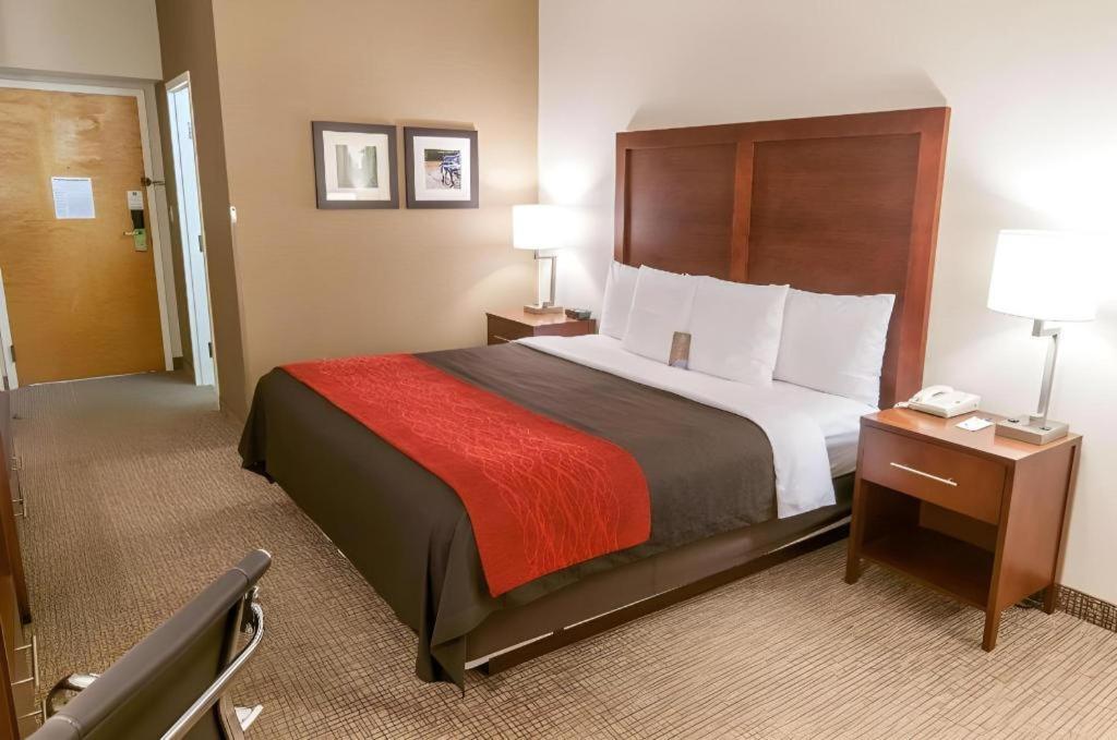 Comfort Inn Quantico Stafford Ngoại thất bức ảnh