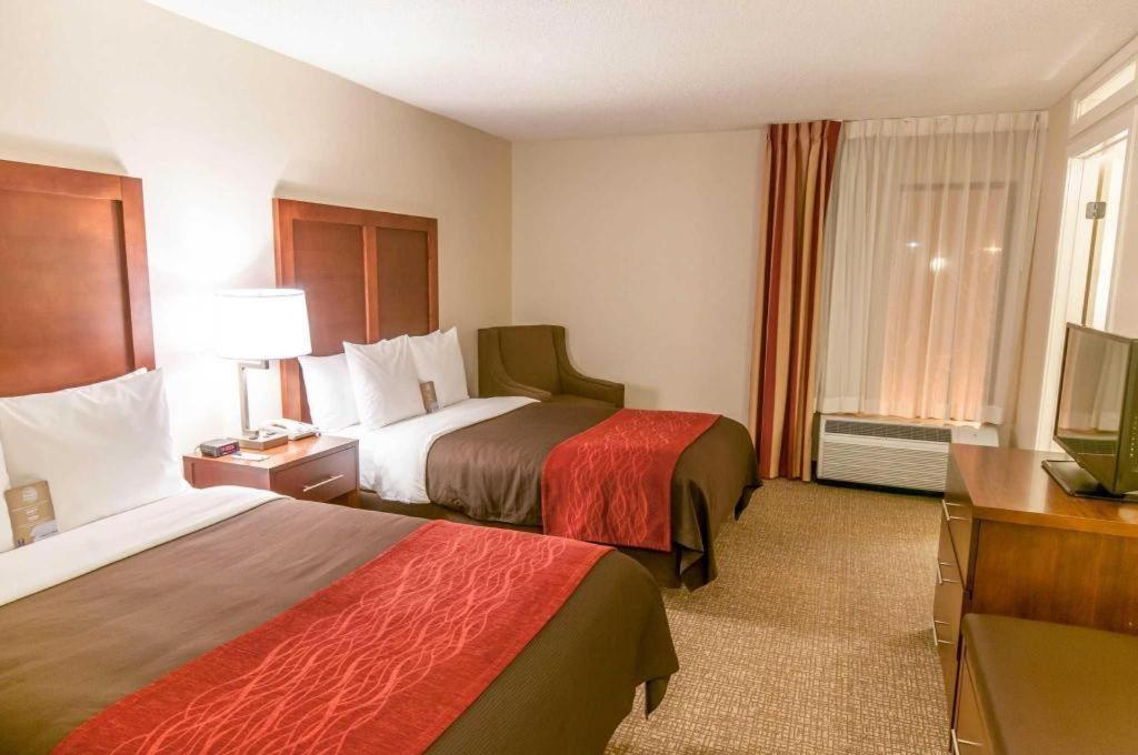 Comfort Inn Quantico Stafford Ngoại thất bức ảnh