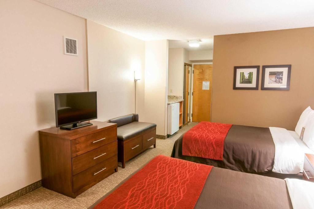 Comfort Inn Quantico Stafford Ngoại thất bức ảnh