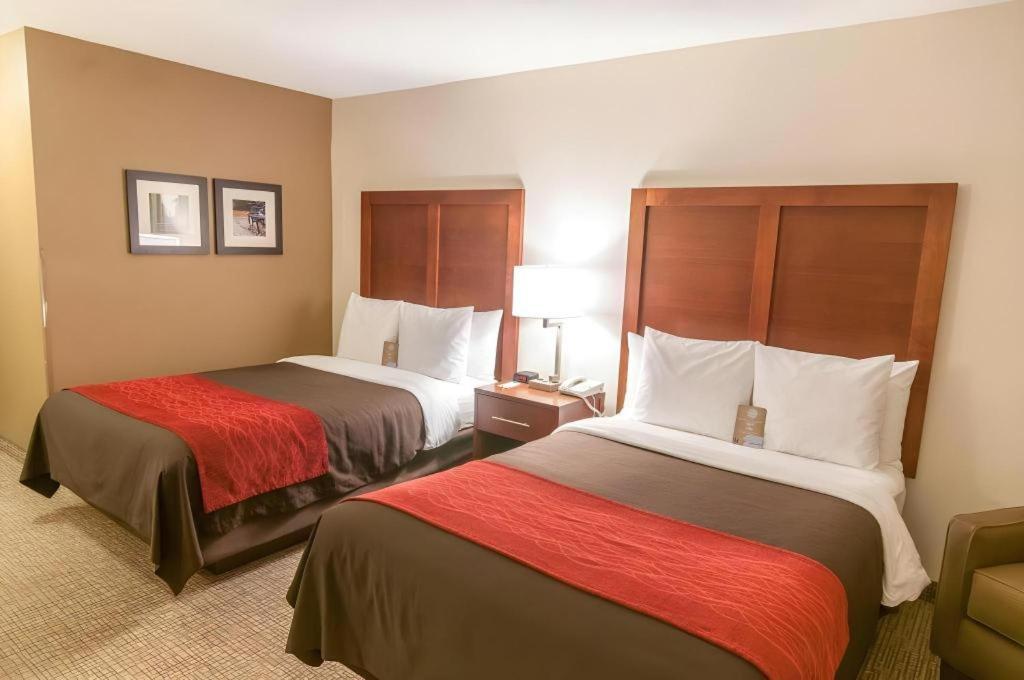 Comfort Inn Quantico Stafford Ngoại thất bức ảnh